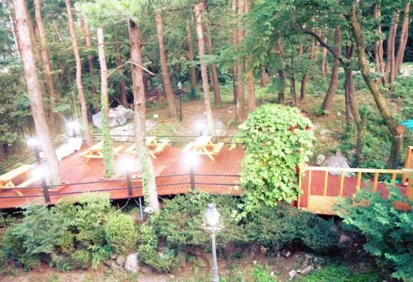 Standard-huone, Seorak Dongchun Youthtel Hostel