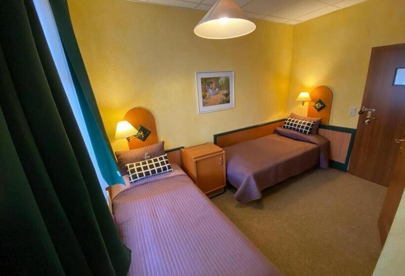 חדר אקונומי, Amadeus Boutique Hotel Deutscher Hof Inn & Suites