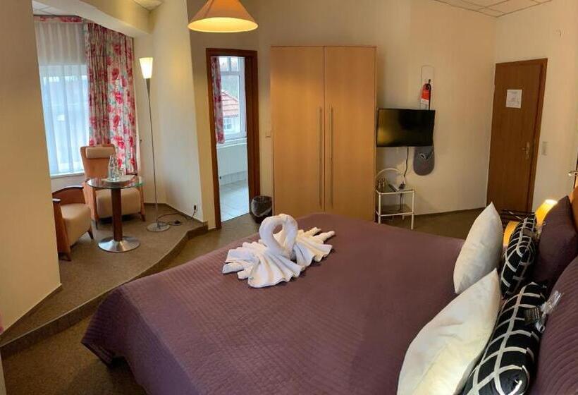 חדר דלוקס, Amadeus Boutique Hotel Deutscher Hof Inn & Suites