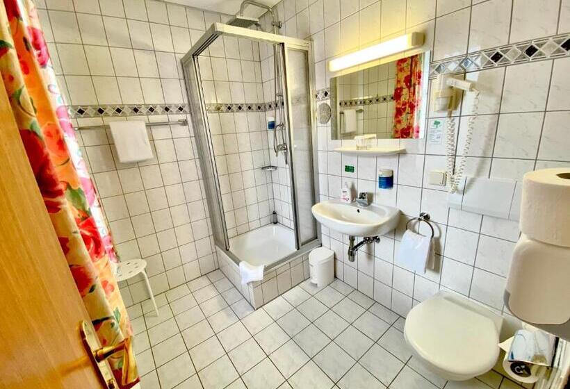 Номер Economy Индивидуальный, Amadeus Boutique Hotel Deutscher Hof Inn & Suites