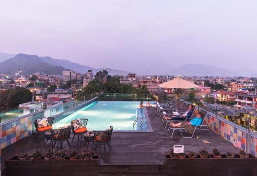 اتاق لوکس خانوادگی, Dahlia Boutique