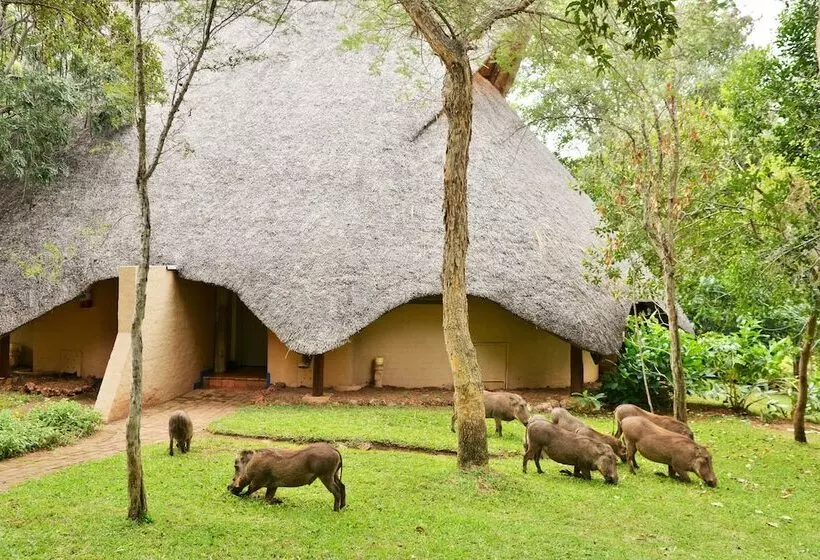 آپارتمان 2 خوابه, Lokuthula Lodge