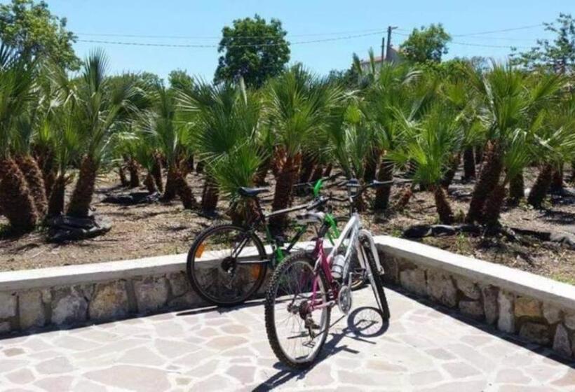 豪华房间, Villa Elisa