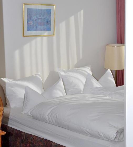 اتاق اکونومی, Parkhotel Bellevue Lenk