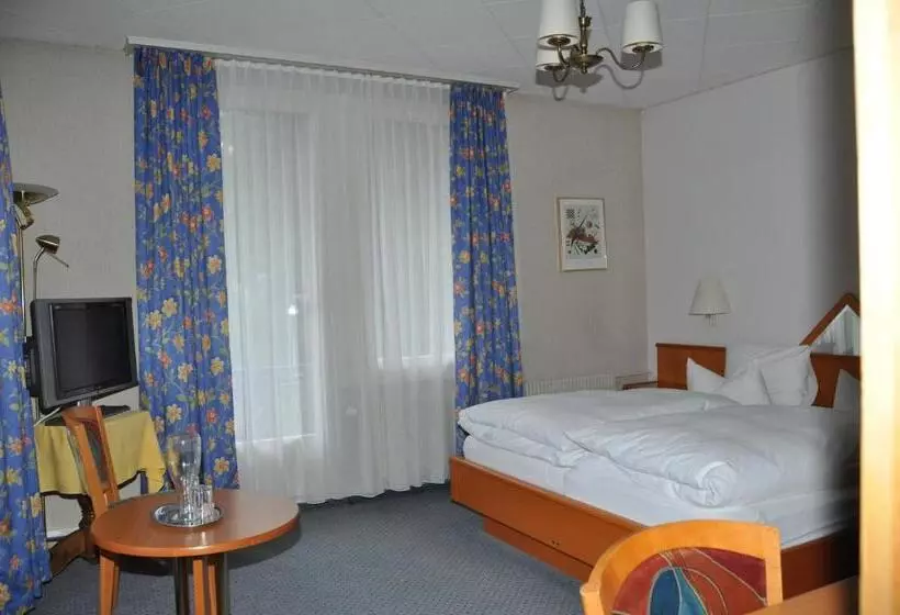 エコノミールーム, Parkhotel Bellevue Lenk