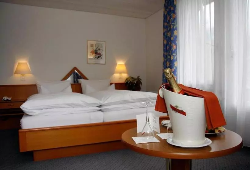 エコノミールーム, Parkhotel Bellevue Lenk