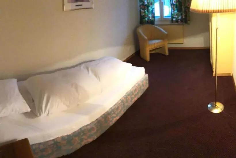 バルコニー付き1ベッドルームアパートメント, Parkhotel Bellevue Lenk