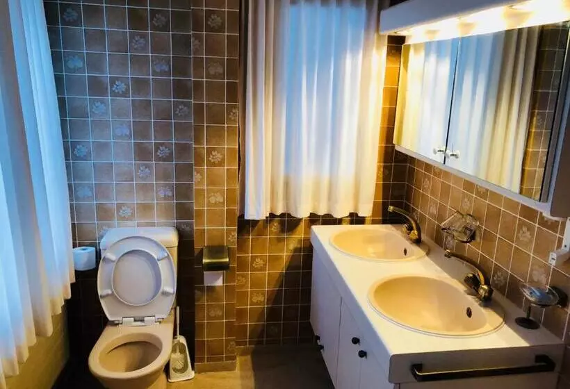 バルコニー付き1ベッドルームアパートメント, Parkhotel Bellevue Lenk