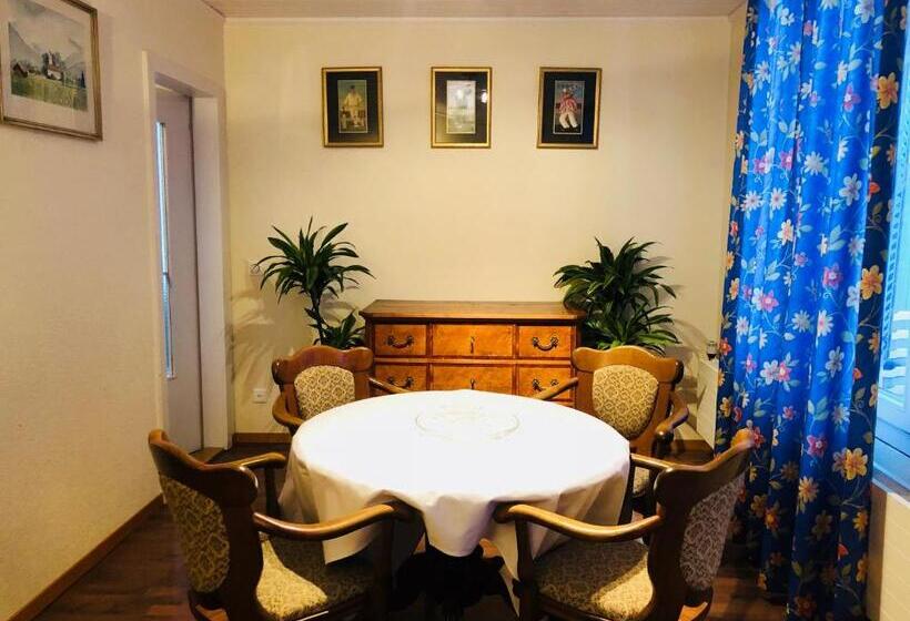 آپارتمان 1 خوابه با بالکن, Parkhotel Bellevue Lenk