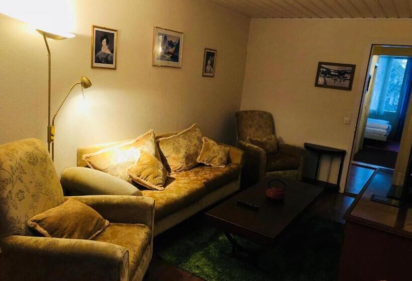 آپارتمان 1 خوابه با بالکن, Parkhotel Bellevue Lenk