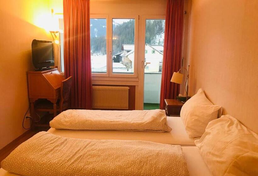 اتاق عادی, Parkhotel Bellevue Lenk