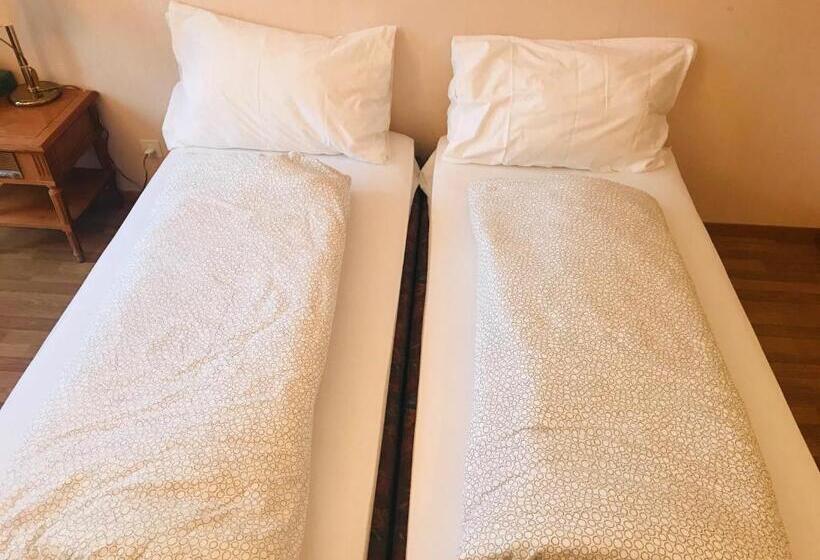 اتاق عادی, Parkhotel Bellevue Lenk