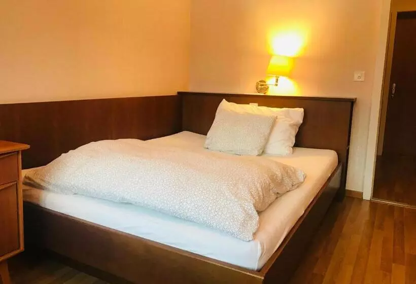 ベーシックルーム, Parkhotel Bellevue Lenk