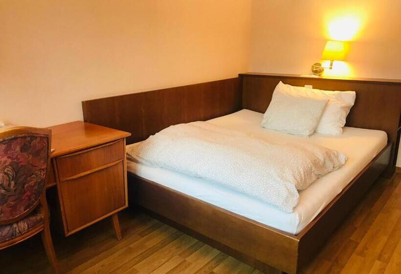 اتاق عادی, Parkhotel Bellevue Lenk