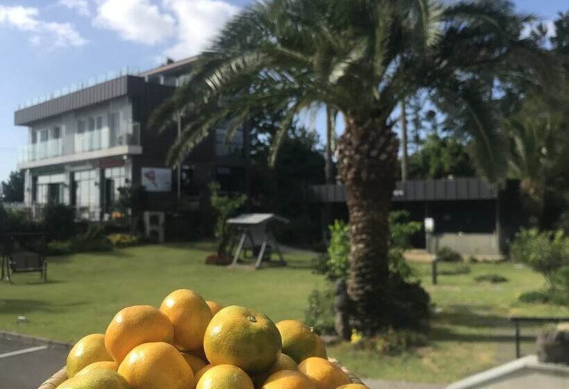 غرفة ديلوكس مطلّة علي البحر, The Bay Jeju Resort