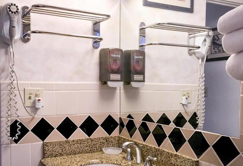 غرفة قياسية بالطابق الأرضى, Tyrolean Lodge