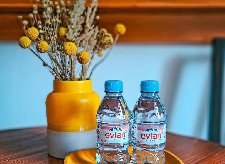 اتاق لوکس, Wellness Pension Ametyst