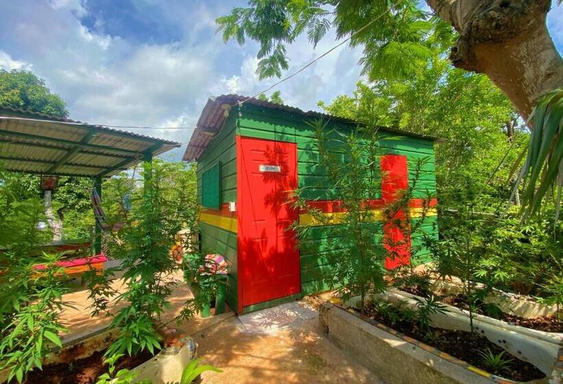 اتاق اکونومی, Judy House Cottages And Rooms