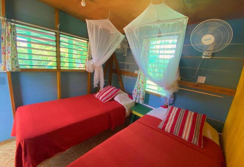 اتاق اکونومی, Judy House Cottages And Rooms