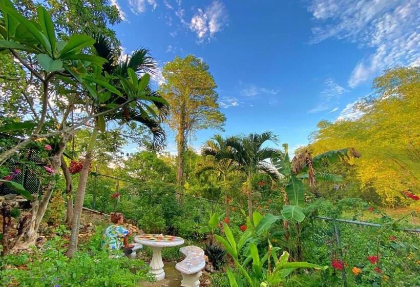 اتاق اکونومی, Judy House Cottages And Rooms