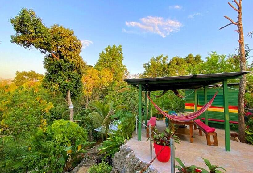 اتاق اکونومی, Judy House Cottages And Rooms