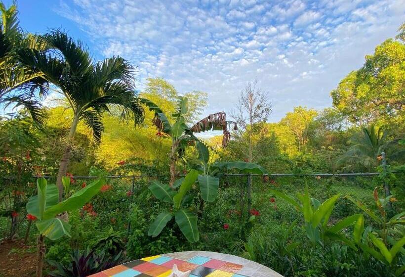 اتاق اکونومی, Judy House Cottages And Rooms