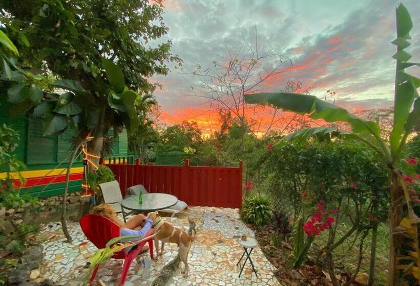 اتاق کلاسیک, Judy House Cottages And Rooms