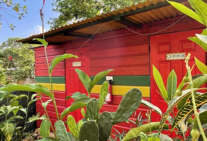 اتاق استاندارد یک تخته با سرویس بهداشتی مشترک, Judy House Cottages And Rooms