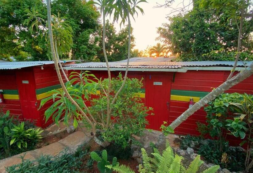 اتاق استاندارد یک تخته با سرویس بهداشتی مشترک, Judy House Cottages And Rooms