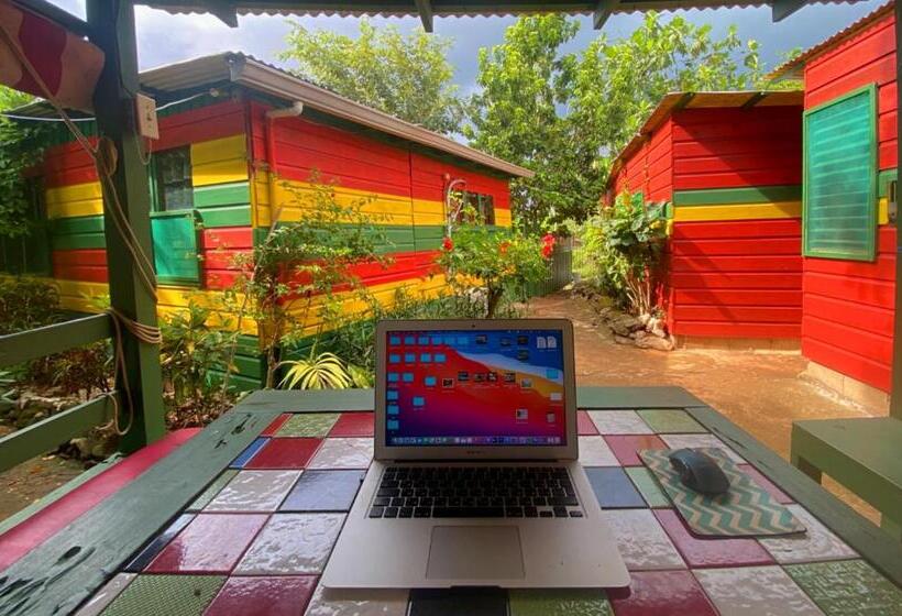 اتاق استاندارد یک تخته با سرویس بهداشتی مشترک, Judy House Cottages And Rooms