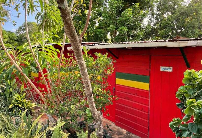 اتاق اکونومی, Judy House Cottages And Rooms