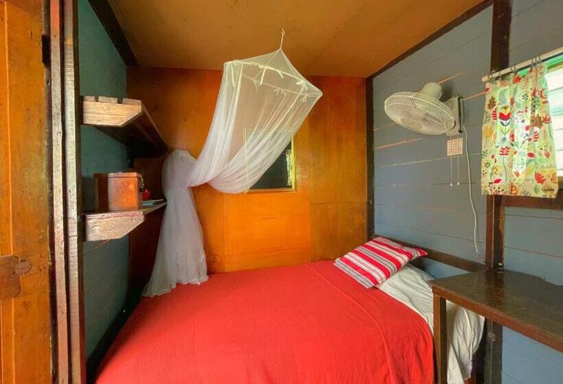 اتاق اکونومی, Judy House Cottages And Rooms