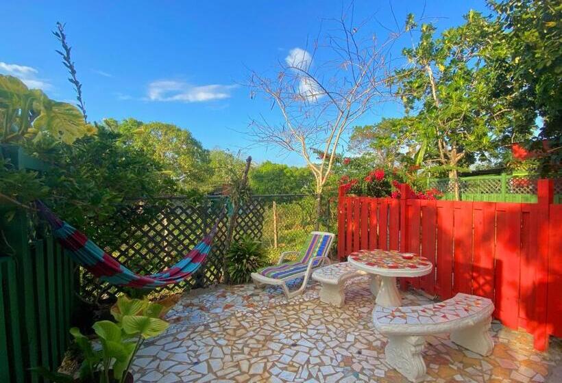 اتاق اکونومی, Judy House Cottages And Rooms