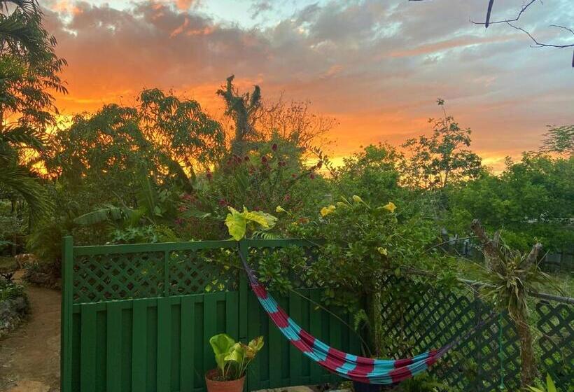 اتاق اکونومی, Judy House Cottages And Rooms