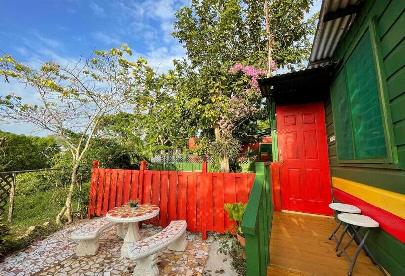 اتاق اکونومی, Judy House Cottages And Rooms
