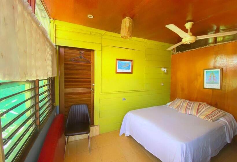 اتاق اکونومی, Judy House Cottages And Rooms