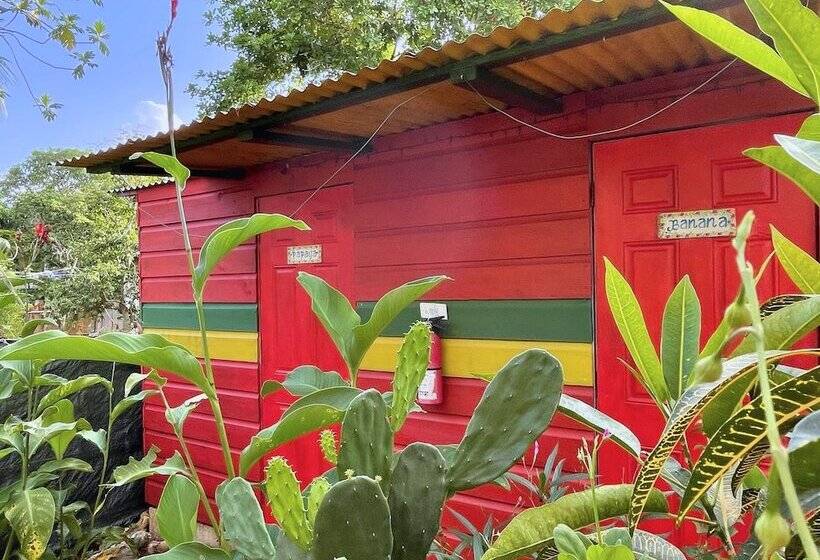 اتاق اکونومی, Judy House Cottages And Rooms