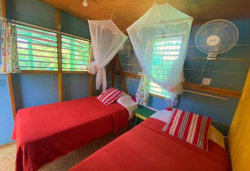 اتاق اکونومی, Judy House Cottages And Rooms