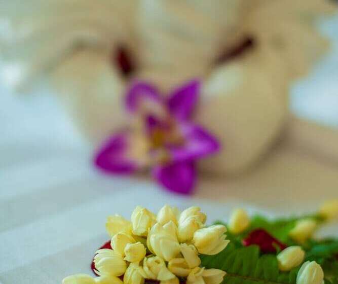 جناح عائلي غرفتين نوم, Grand Nai Harn Suites