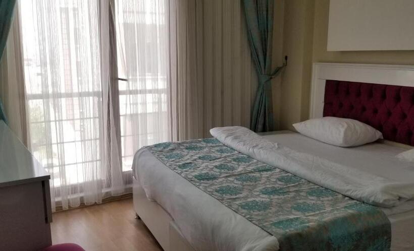 Camera Standard, Sanli