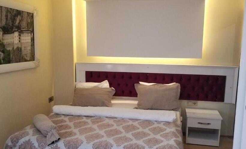 Camera Standard, Sanli