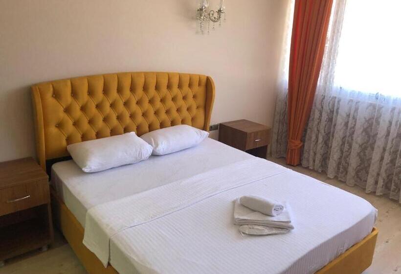 Camera Standard, Sanli