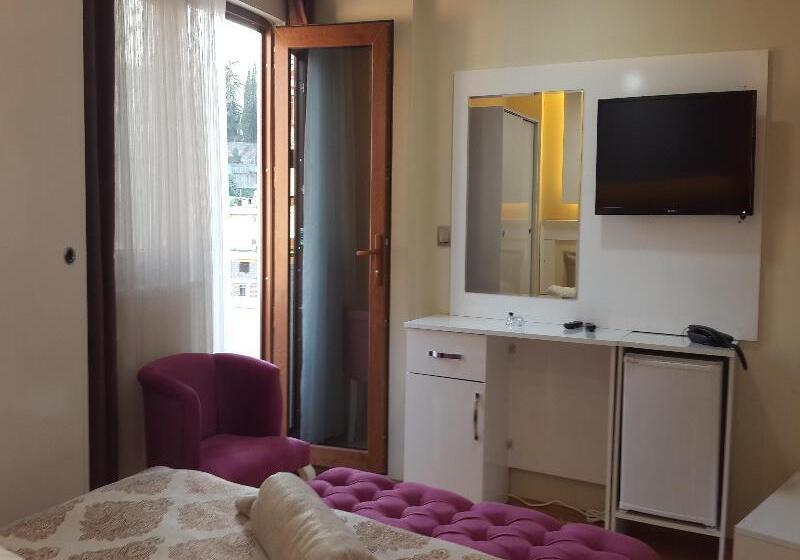 Camera Standard, Sanli