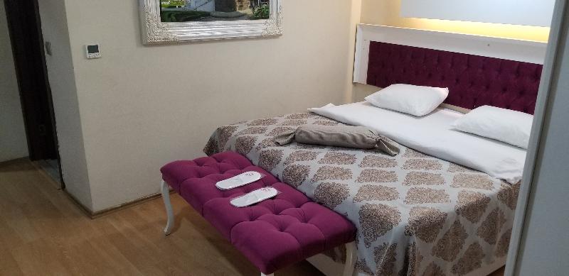 Camera Standard, Sanli