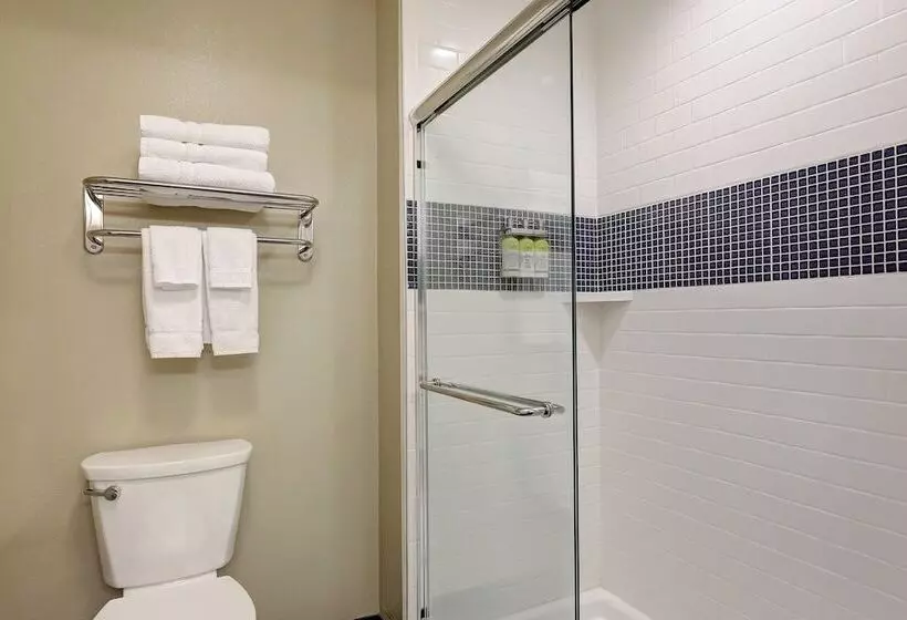 スタンダードスタジオ, Staybridge Suites Washington D.c.  Greenbelt, An Ihg