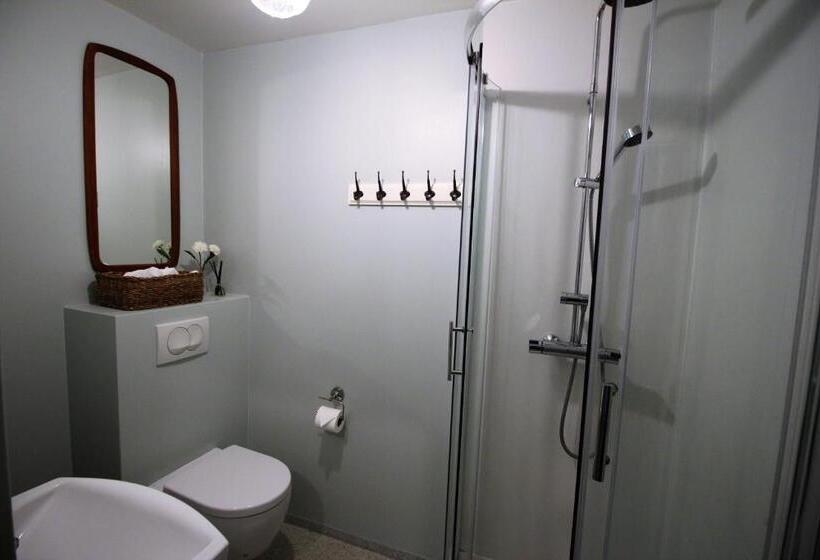 اتاق استاندارد با سرویس بهداشتی مشترک, Grettir Guesthouse