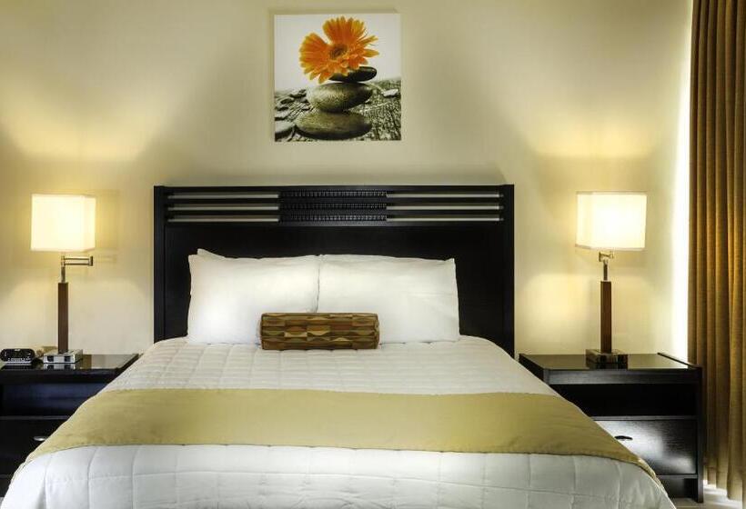 استودیوی لوکس, Horizon View Beach