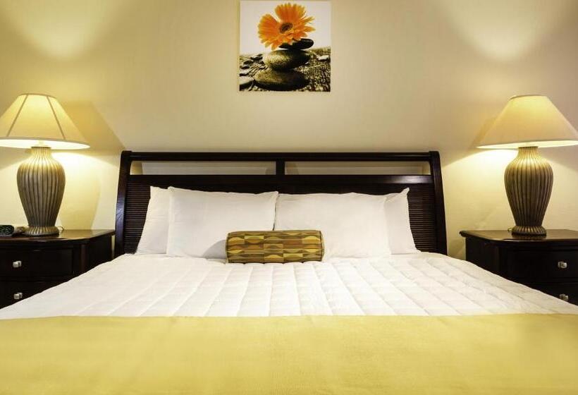 1 Bedroom Penthouse Apartment, Horizon View Beach