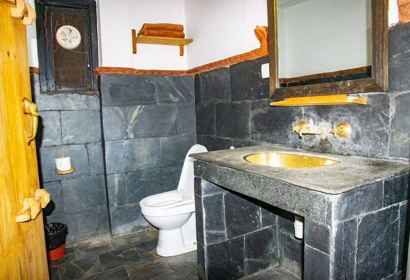 اتاق اکونومی, Ganesh Himal