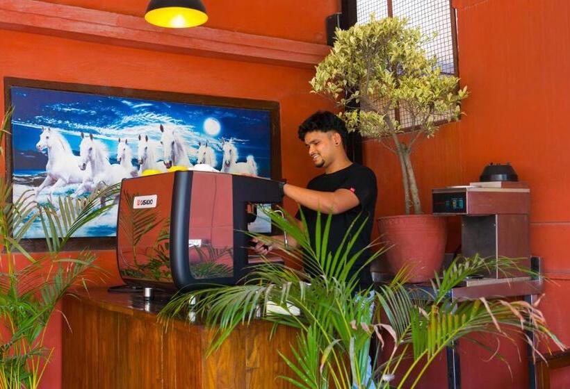 اتاق اکونومی, Ganesh Himal